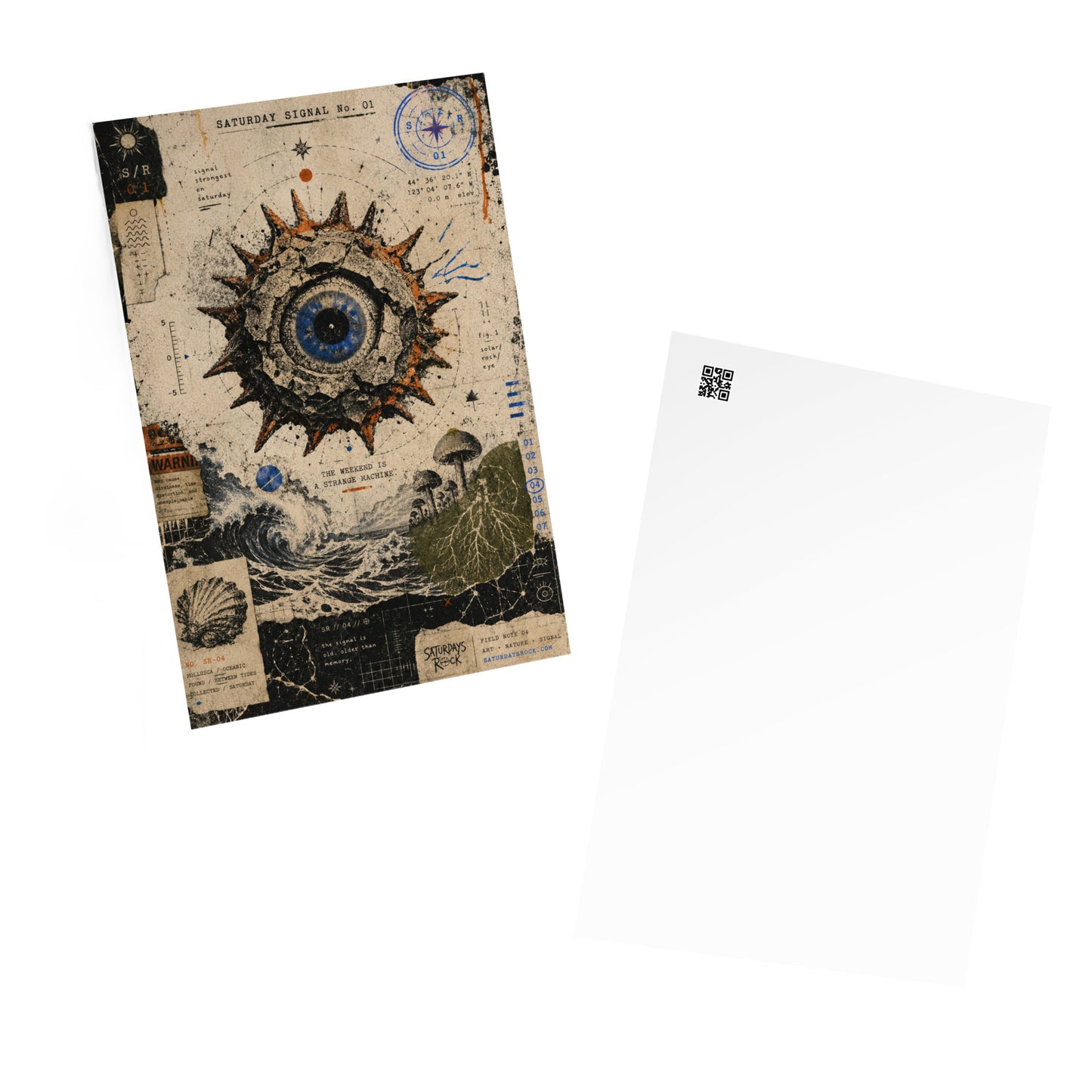 Saturdays Signal Standard Postcard